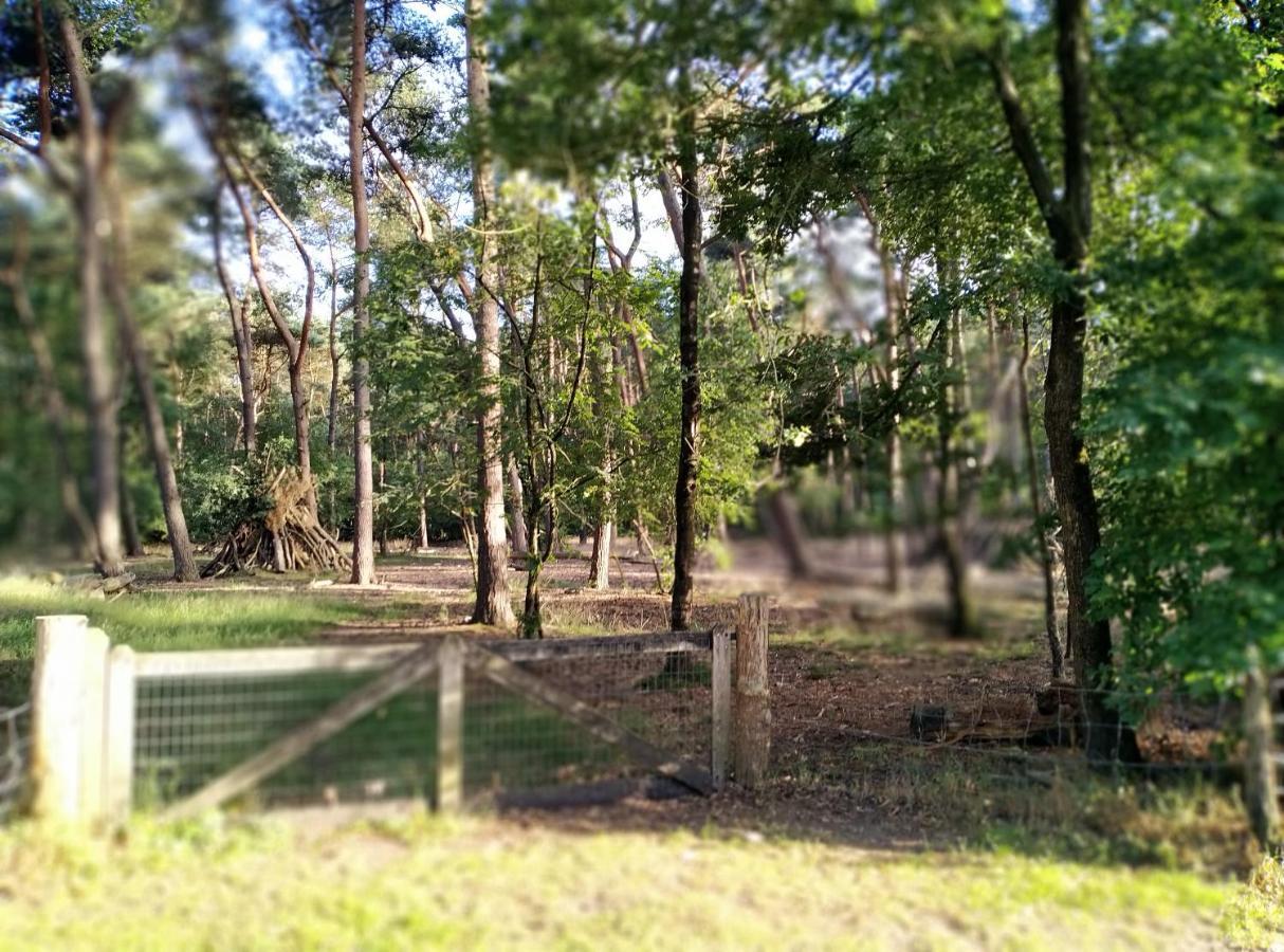 De Stamper - De Wije Werelt Villa Otterlo Kültér fotó